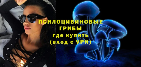 прущие крисы Карпинск