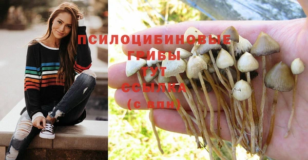 прущие крисы Карпинск