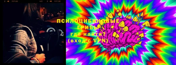 прущие крисы Карпинск